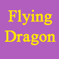 Flying Dragon